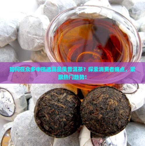 如何在众多中挑选高品质普洱茶？探索消费者痛点，紧跟热门趋势！