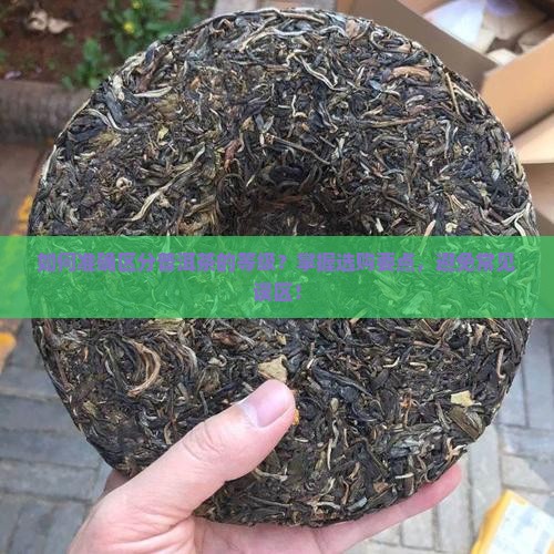 如何准确区分普洱茶的等级？掌握选购要点，避免常见误区！
