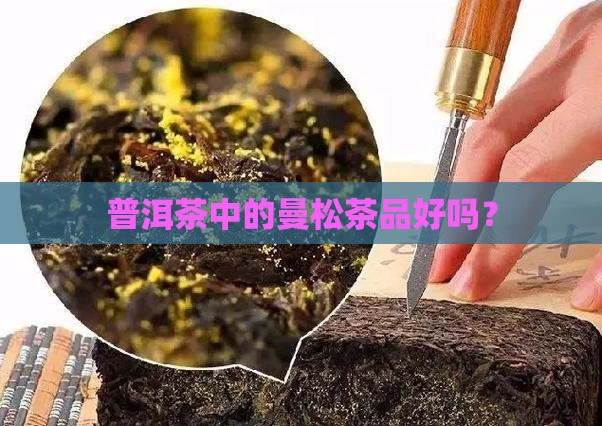 普洱茶中的曼松茶品好吗？