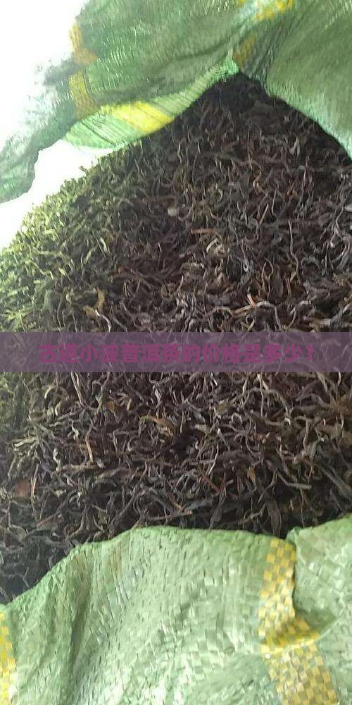 古道小波普洱茶的价格是多少？