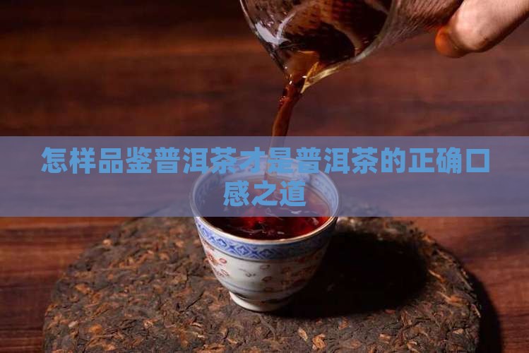 怎样品鉴普洱茶才是普洱茶的正确口感之道