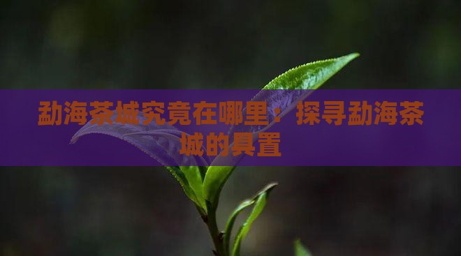 勐海茶城究竟在哪里：探寻勐海茶城的具置