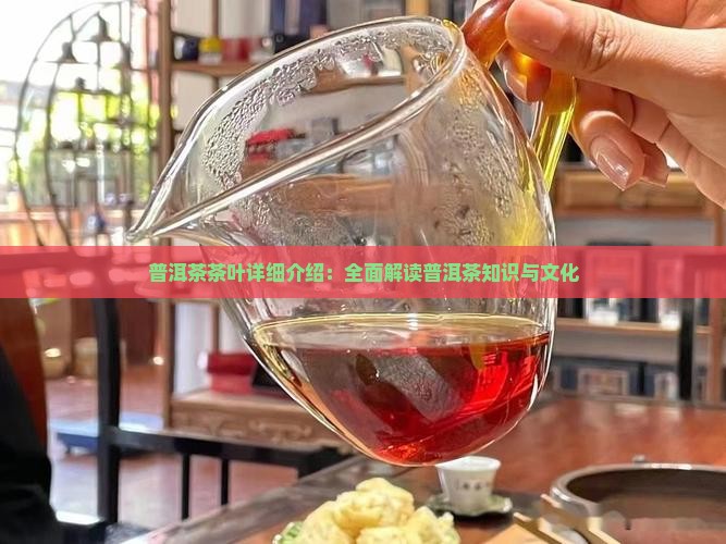 普洱茶茶叶详细介绍：全面解读普洱茶知识与文化