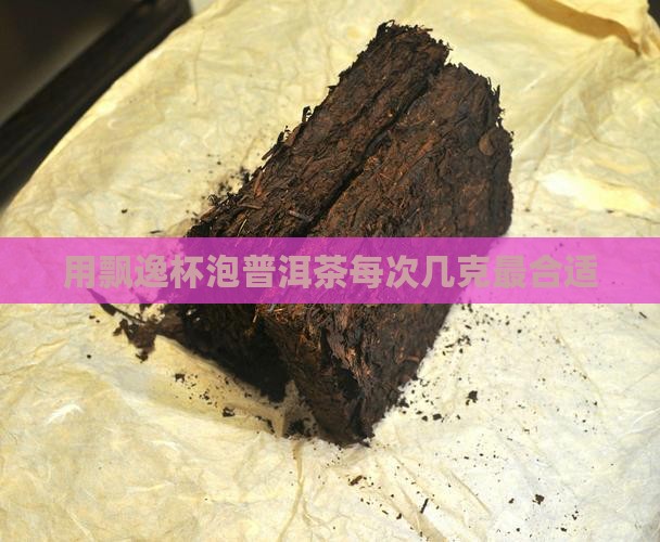 用飘逸杯泡普洱茶每次几克最合适