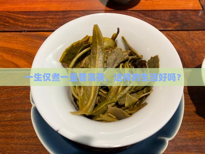 一生仅煮一壶普洱茶，这样的生活好吗？