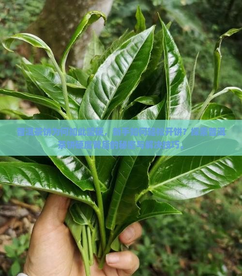 普洱茶饼为何如此坚硬，新手如何轻松开饼？探索普洱茶饼硬度背后的秘密与解决技巧。