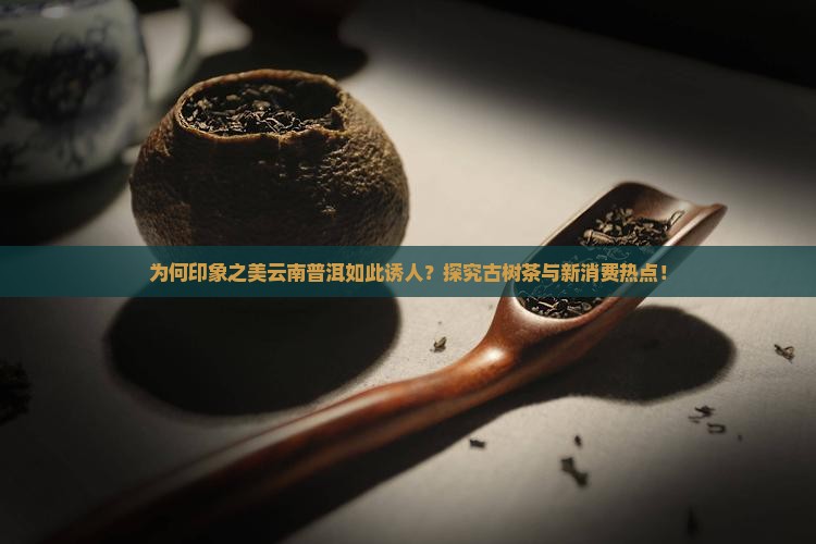 为何印象之美云南普洱如此诱人？探究古树茶与新消费热点！