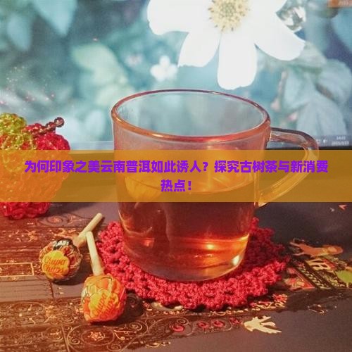 为何印象之美云南普洱如此诱人？探究古树茶与新消费热点！