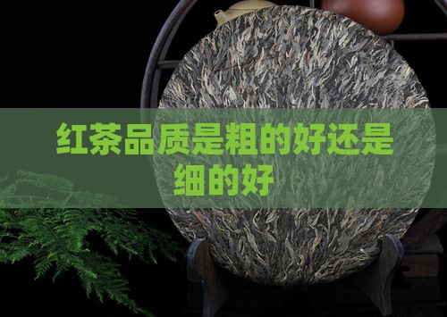 红茶品质是粗的好还是细的好