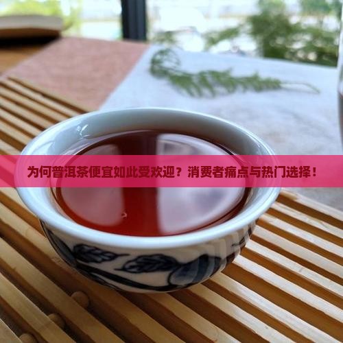 为何普洱茶便宜如此受欢迎？消费者痛点与热门选择！