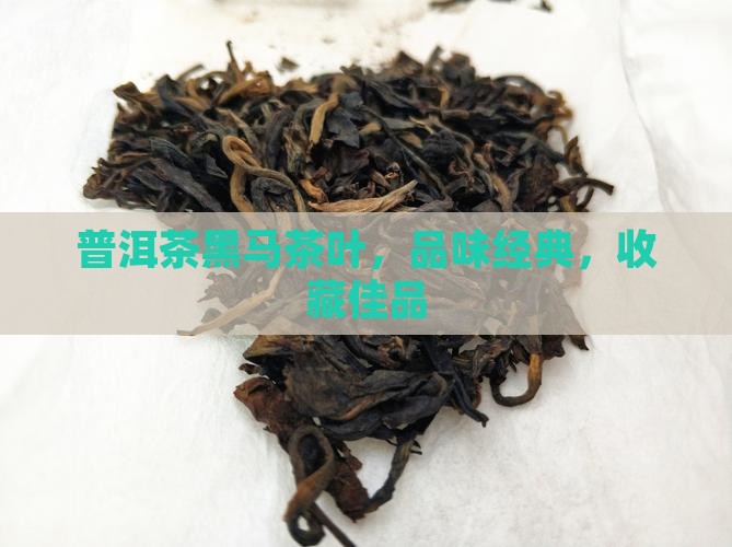 普洱茶黑马茶叶，品味经典，收藏佳品