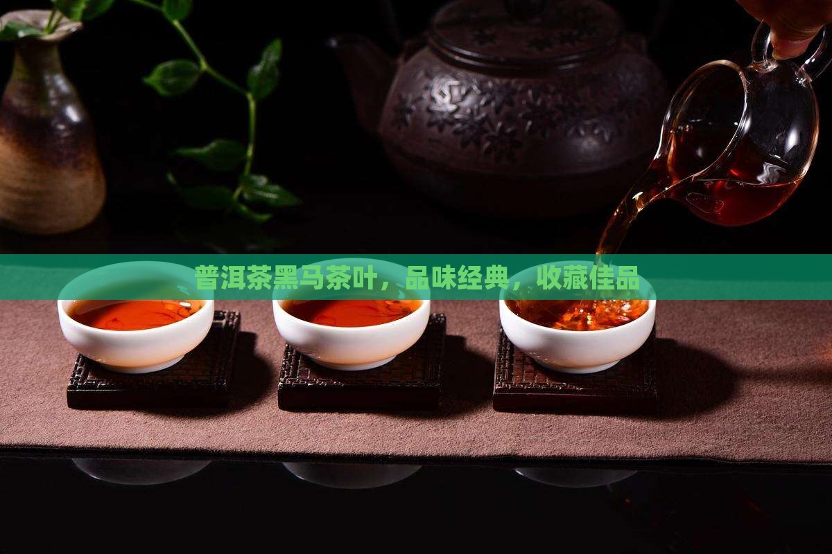 普洱茶黑马茶叶，品味经典，收藏佳品