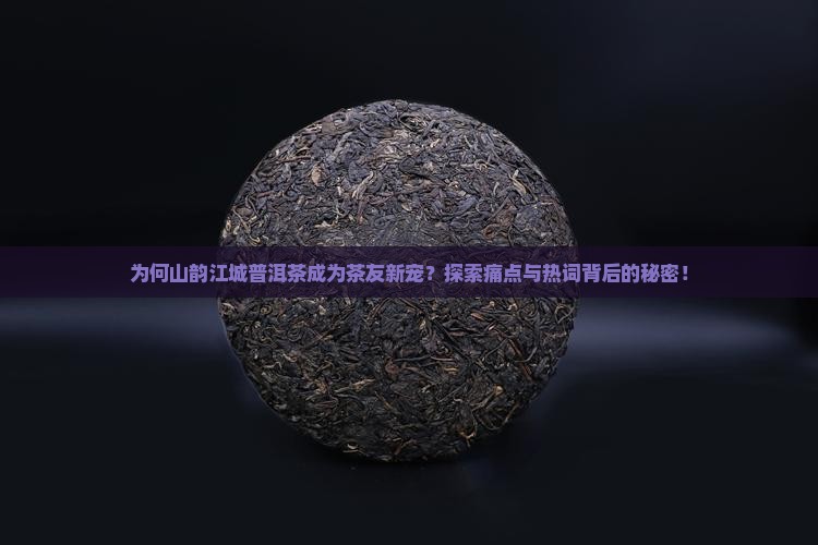 为何山韵江城普洱茶成为茶友新宠？探索痛点与热词背后的秘密！