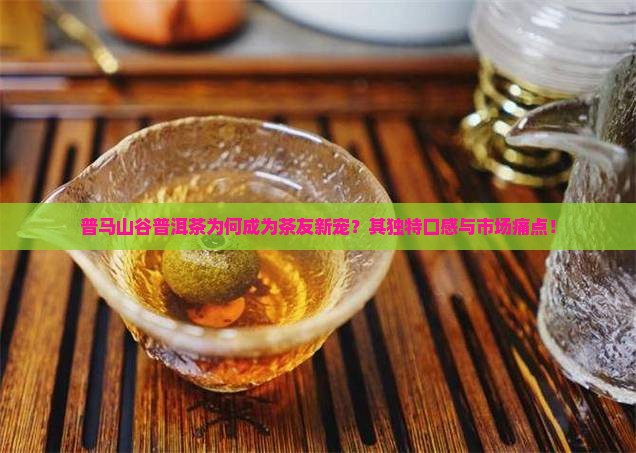 普马山谷普洱茶为何成为茶友新宠？其独特口感与市场痛点！