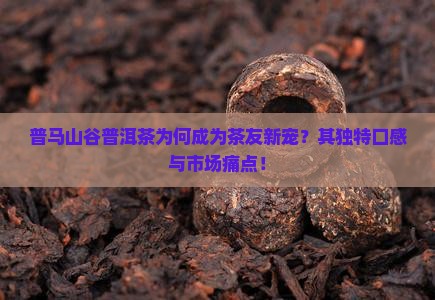 普马山谷普洱茶为何成为茶友新宠？其独特口感与市场痛点！