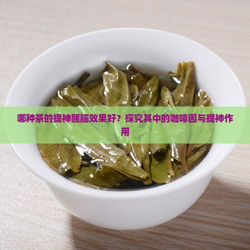 哪种茶的提神醒脑效果好？探究其中的咖啡因与提神作用