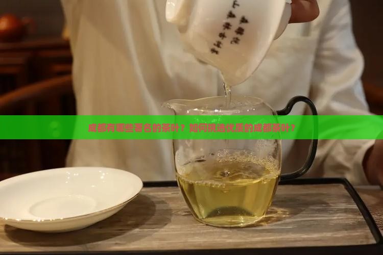 成都有哪些著名的茶叶？如何挑选优质的成都茶叶？