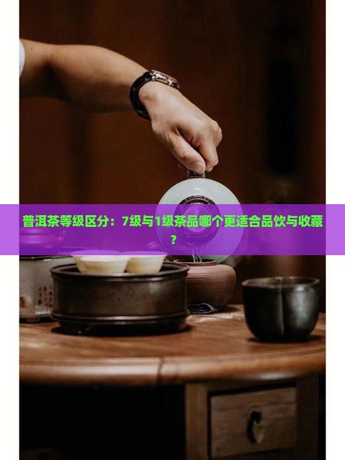 普洱茶等级区分：7级与1级茶品哪个更适合品饮与收藏？