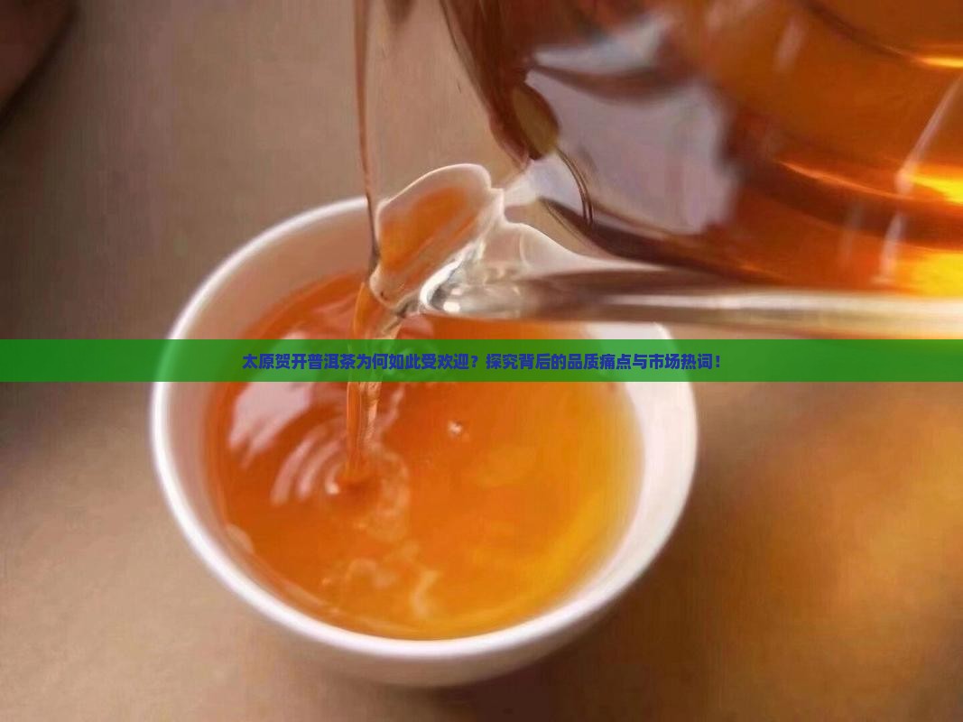 太原贺开普洱茶为何如此受欢迎？探究背后的品质痛点与市场热词！