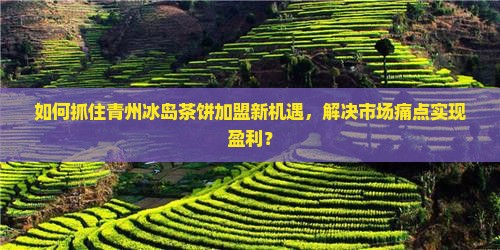 如何抓住青州冰岛茶饼加盟新机遇，解决市场痛点实现盈利？