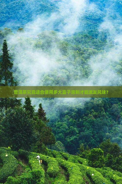 普洱茶究竟适合使用多大壶子泡制才能激发风味？
