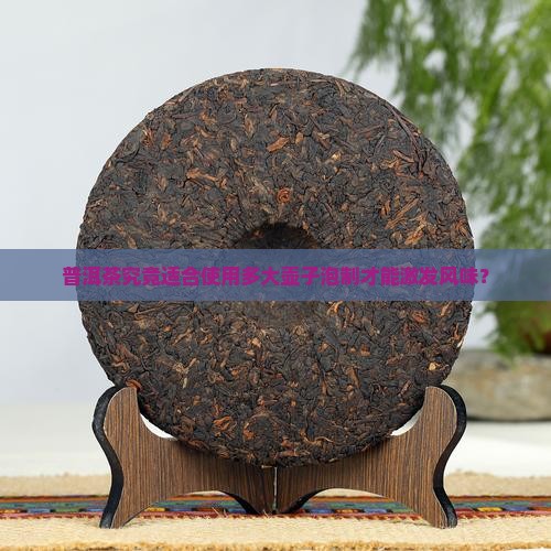 普洱茶究竟适合使用多大壶子泡制才能激发风味？