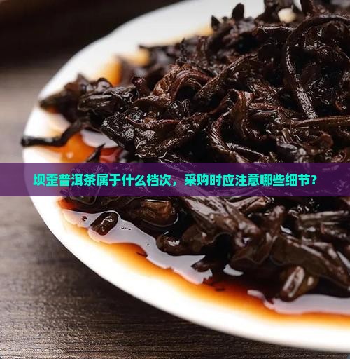 坝歪普洱茶属于什么档次，采购时应注意哪些细节？