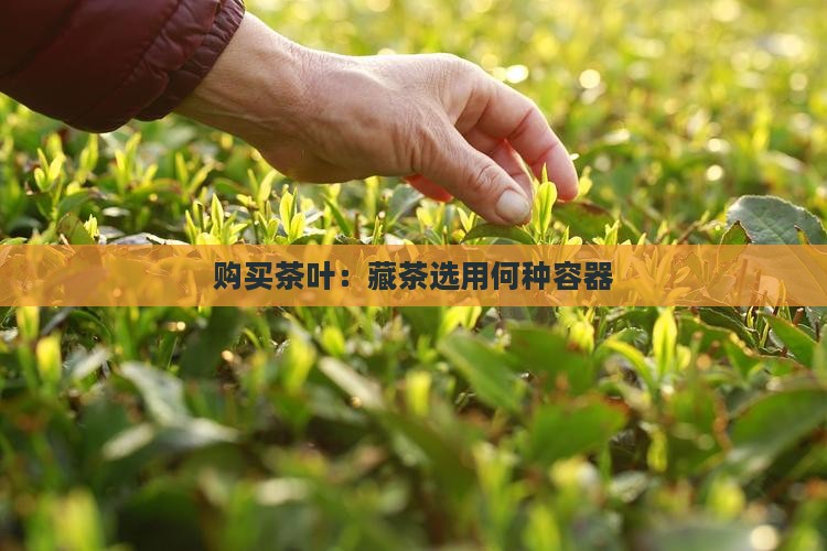 购买茶叶：藏茶选用何种容器