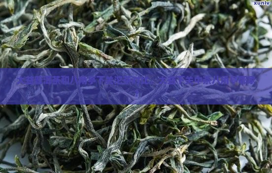 大益普洱茶和八角亭下关沱茶对比，大益下关中茶八角亭哪家？