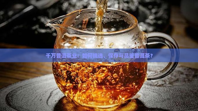 千万普洱茶业：如何挑选、保存与品鉴普洱茶？