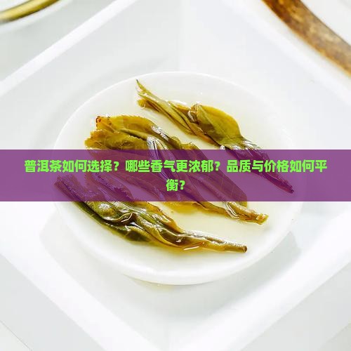 普洱茶如何选择？哪些香气更浓郁？品质与价格如何平衡？