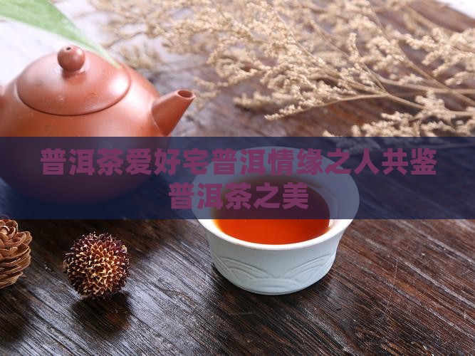 普洱茶爱好宅普洱情缘之人共鉴普洱茶之美
