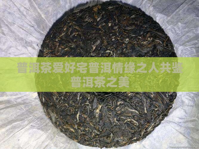 普洱茶爱好宅普洱情缘之人共鉴普洱茶之美