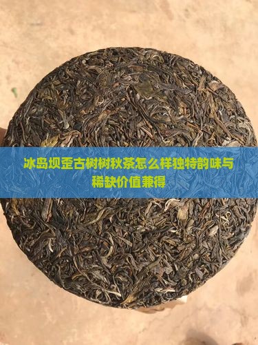 冰岛坝歪古树树秋茶怎么样独特韵味与稀缺价值兼得