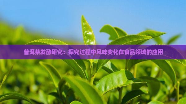 普洱茶发酵研究：探究过程中风味变化在食品领域的应用