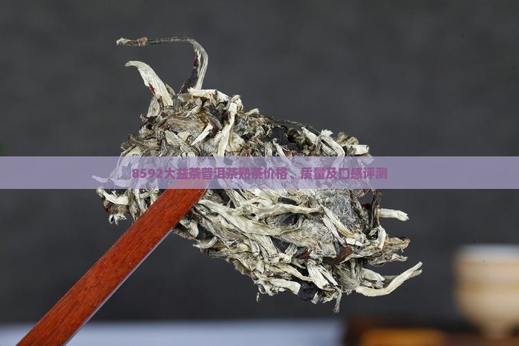 8592大益茶普洱茶熟茶价格、质量及口感评测