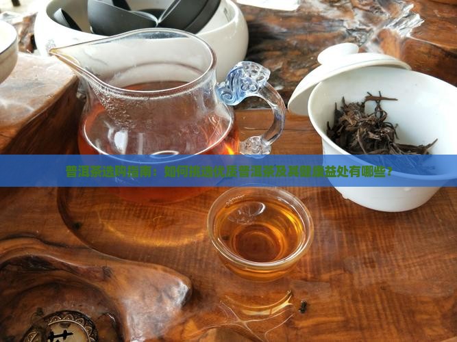 普洱茶选购指南：如何挑选优质普洱茶及其健康益处有哪些？