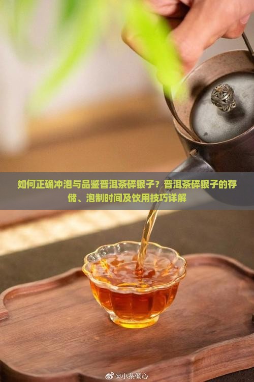 如何正确冲泡与品鉴普洱茶碎银子？普洱茶碎银子的存储、泡制时间及饮用技巧详解