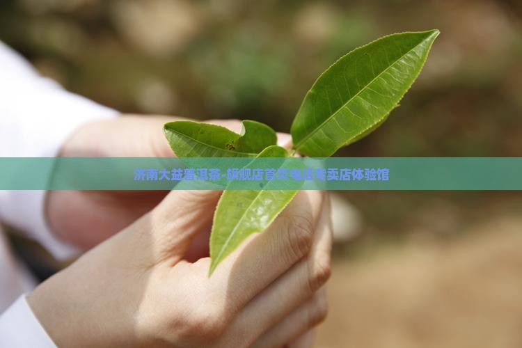 济南大益普洱茶-旗舰店首页电话专卖店体验馆