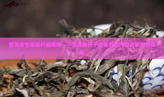普洱茶生茶茶杆能喝吗——普洱茶杆子生茶茶柱内碎叶多泡茶体验