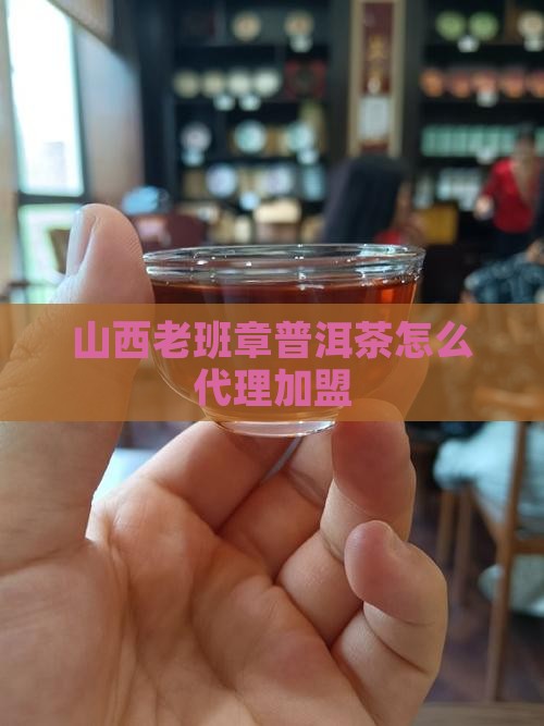 山西老班章普洱茶怎么代理加盟