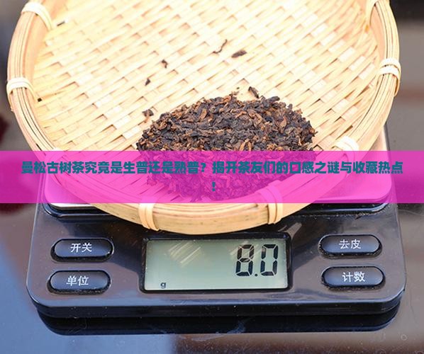 曼松古树茶究竟是生普还是熟普？揭开茶友们的口感之谜与收藏热点！