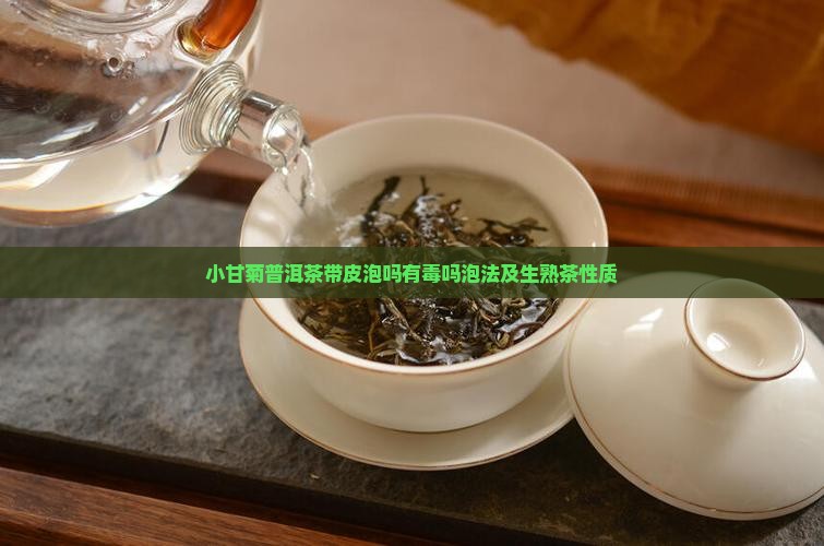 小甘菊普洱茶带皮泡吗有毒吗泡法及生熟茶性质