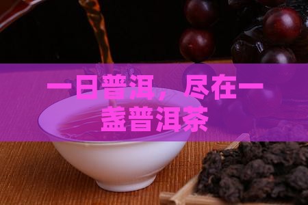 一日普洱，尽在一盏普洱茶