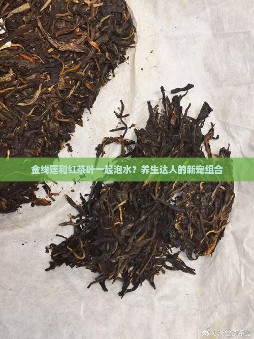 金线莲和红茶叶一起泡水？养生达人的新宠组合