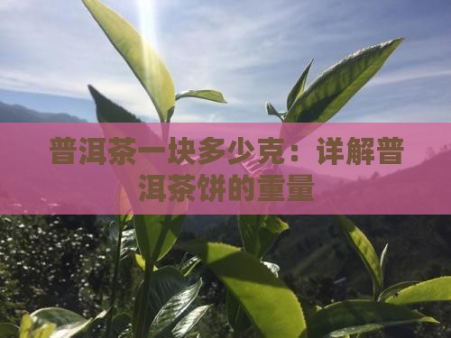 普洱茶一块多少克：详解普洱茶饼的重量