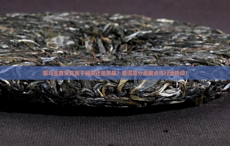 茶马生普究竟属于绿茶还是黑茶？普洱茶分类痛点与行业热词！
