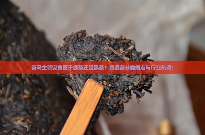 茶马生普究竟属于绿茶还是黑茶？普洱茶分类痛点与行业热词！