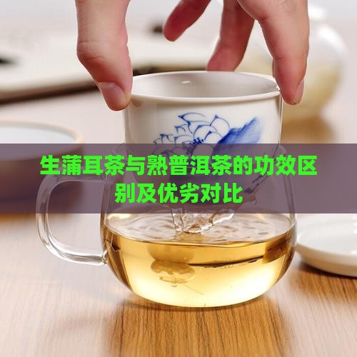 生蒲耳茶与熟普洱茶的功效区别及优劣对比