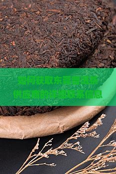 如何获取东莞普洱茶供应商的详细联系信息及购买渠道？
